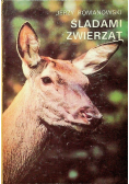 Śladami zwierząt