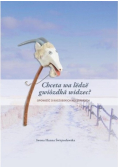 Chceta wa ledze gwiozdka widzec