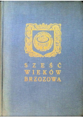 Sześć wieków Brzozowa