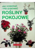 Jak dobierać i pielęgnować rośliny pokojowe