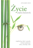 Życie  piękna katastrofa