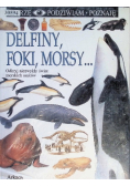 Delfiny foki morsy