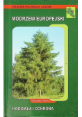 Modrzew europejski hodowla i ochrona