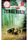 Ziemna burza