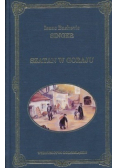 Szatan w Goraju