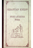 Moje leczenie wodą