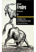 Lekcja literatury