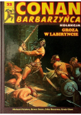 Conan Barbarzyńca Tom 22 Groza w Labiryncie