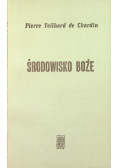 Środowisko Boże