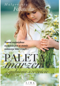 Paleta marzeń Zgubione szczęście