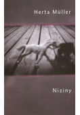Niziny