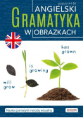 Angielski. Gramatyka w obrazkach Poziom A1 - B1