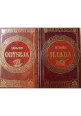 Iliada  Odyseja
