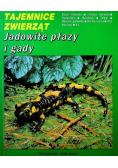 Tajemnice zwierząt Jadowite płazy i gady