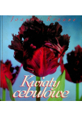 Kwiaty cebulowe