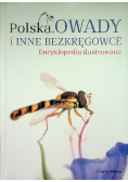 Polska - Owady i inne bezkręgowce: encyklopedia ilustrowana
