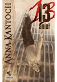 13 Anioł