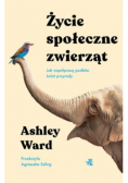 Życie społeczne zwierząt
