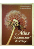 Atlas botaniczny  ilustracje