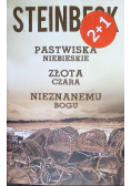 Pastwiska niebieskie Złota czara Nieznanemu bogu