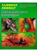 Tajemnice zwierząt Zadziwiający świat stawonogów