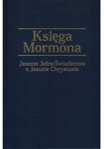 Księga Mormona Jeszcze jedno świadectwo o Jezusie Chrystusie