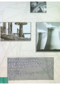 Przyczyny rozwoju i upadku polskich przedsiębiorstw przemysłowych w okresie transformacji ustrojowej 1990 - 1998