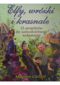 Elfy wróżki i krasnale 15 projektów do samodzielnego wykonania