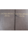 Encyklopedja życia Tom 1 i 2 1931 r.