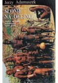 Słonie na Olejno