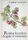 Rośliny lecznicze i bogate w witaminy