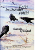 Ptaki krukowate Polski