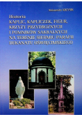 Historia kaplic kapliczek figur krzyży przydrożnych i pomników sakralnych na terenie siedmiu parafii dekanatu oświęcimskiego