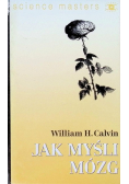 Jak myśli mózg