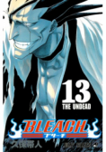 Bleach Tom 13