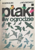 Ptak w ogrodzie