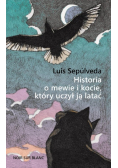 Historia o mewie i kocie, który uczył ją latać