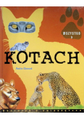 Wszystko o kotach