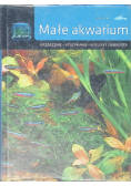 Małe akwarium