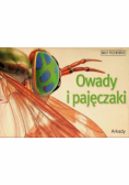 Owady i pajęczaki mały przewodnik