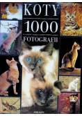 Koty 1000 fotografii