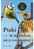 Ptaki w ogrodzie - jak je rozpoznawać