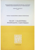 Głazy i głazowiska województwa olsztyńskiego Nr 20 / 67