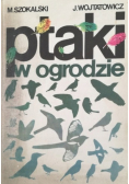 Ptaki w ogrodzie