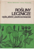Rośliny lecznicze opis, zbiór, zastosowanie