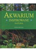 Akwarium inspirowane naturą