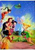Sekret magicznych skrzydeł. Wróżki.