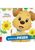 Disney Maluch. Grzeczny Piesek