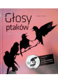 Głosy ptaków