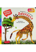 Zwierzęta. Akademia mądrego dziecka